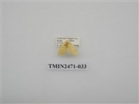 藏品(鉤弧紋豔苔蛾)的圖片